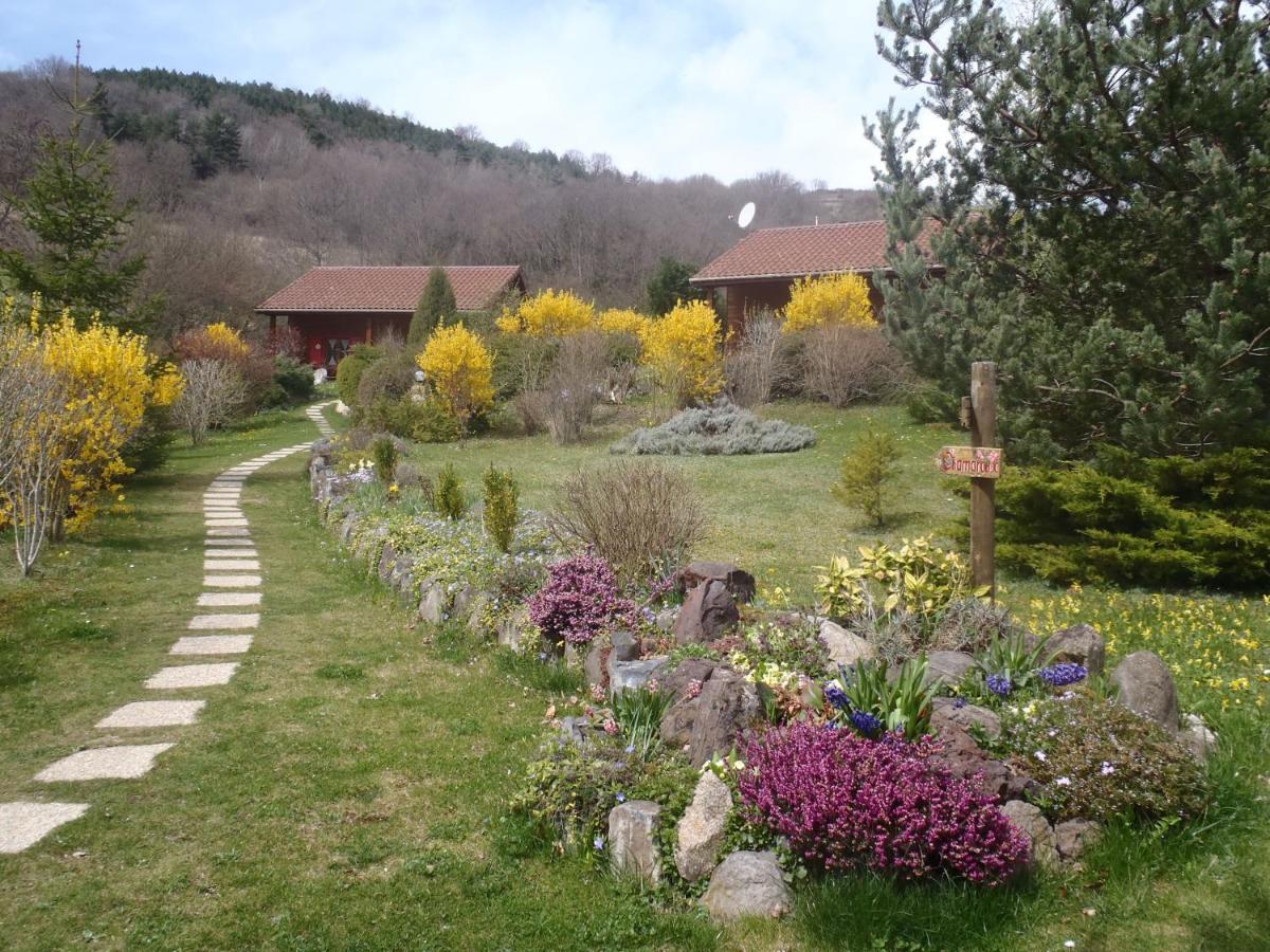 Les Chalets De La Vigne Grande Saint-Floret Kültér fotó